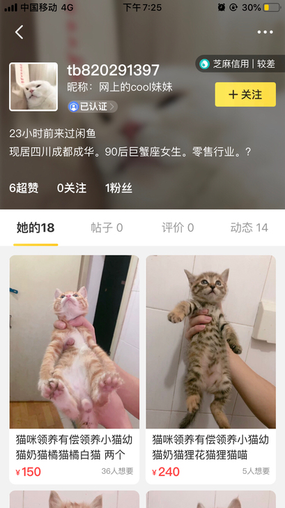 猫领养幼猫田园猫长毛猫三花猫白猫黑猫