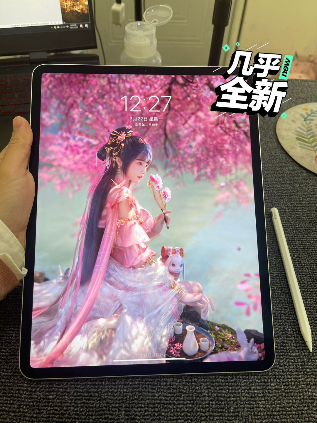 iPad Pro三代12.9寸256g 国行Wi-Fi版