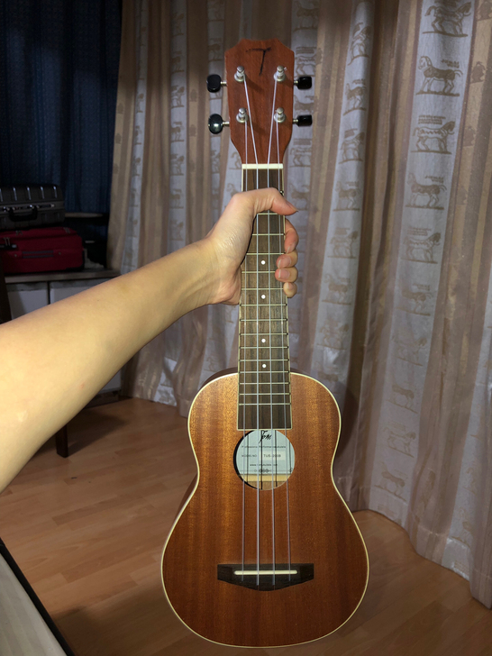 TOM高端ukulele入门级21寸小吉他尤克里里T